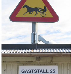 FEIF Youth Cup 2018 – Day 3