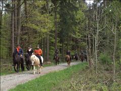 Annual Leisure Riding Meeting 2019