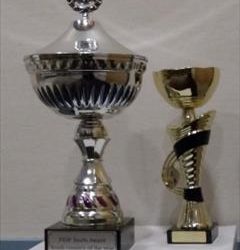 FEIF Youth Award 2016