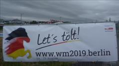 FEIF Board cheers virtual riders