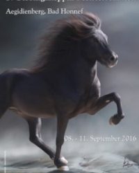 Internationale Deutsche Gæðingakeppni Meisterschaften