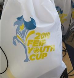 Youth Work – Committee meeting 2018