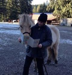 Out to Oirschot – totals for January 2017