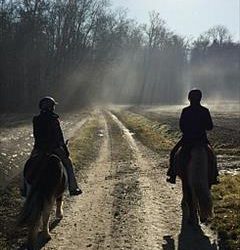 FEIF virtual ride Out to Oirschot