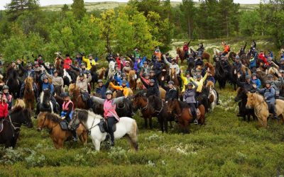 Leisure Riding Camp 2020