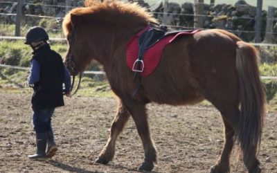 Education – And the might of the matrix