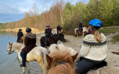 FEIF Virtual Ride to Landsmót