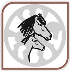 WorldFengur Report 2019