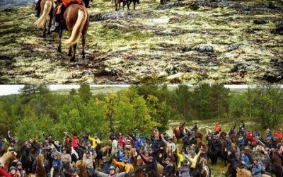 FEIF Riders’ Camp 2020