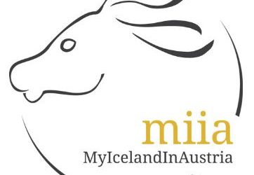 10 tips to bridge the time