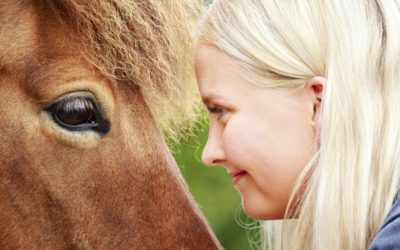 Celebrating the Icelandic horse all over the world!