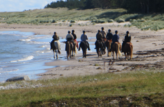 Sverigeritten – day 42!