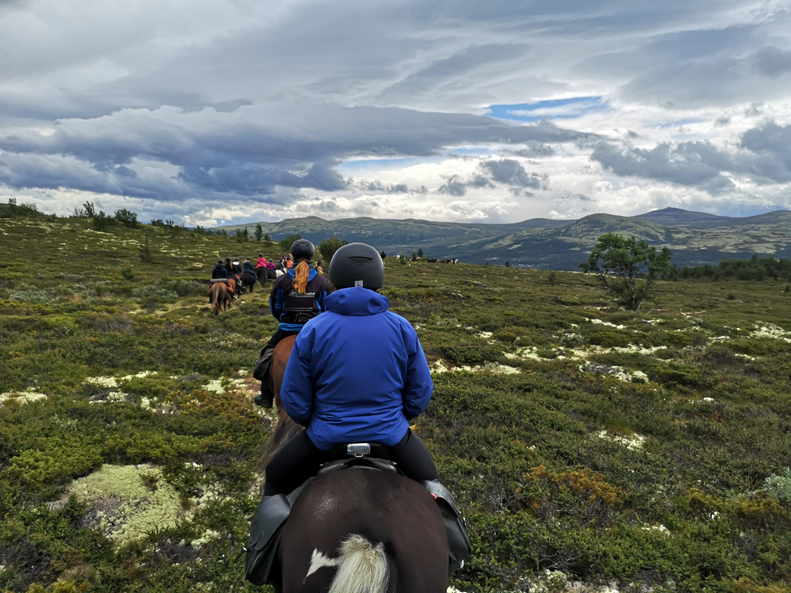 Fjellfestival2020_Kari