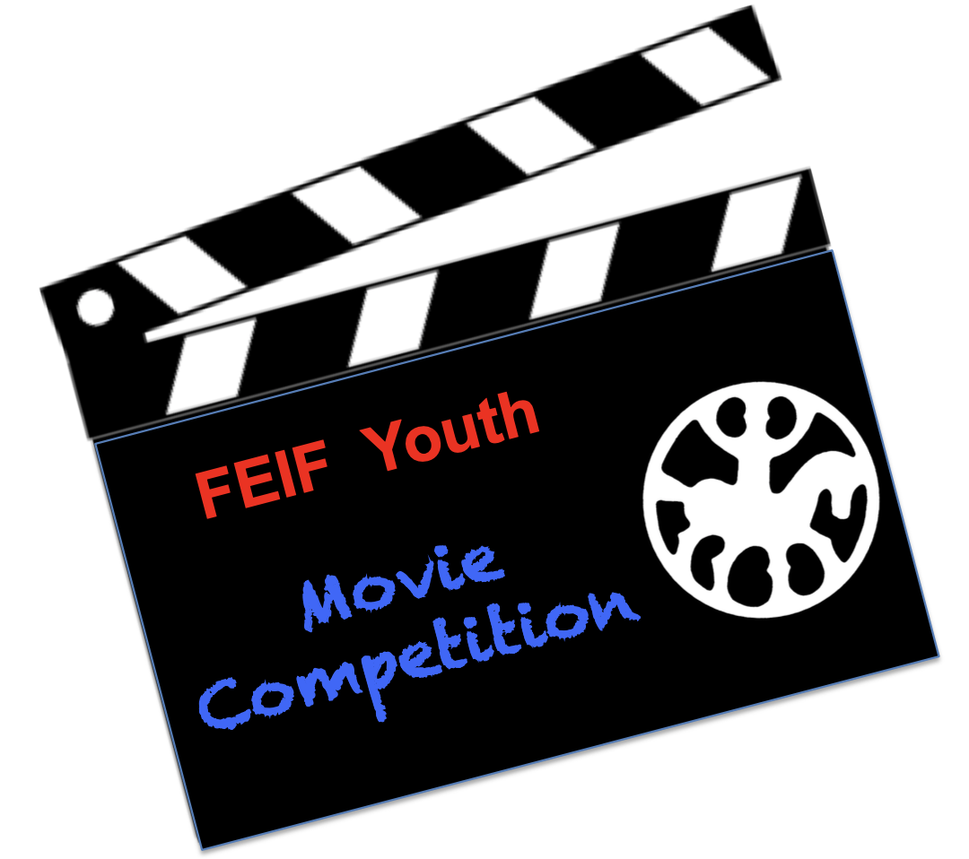 Video Comp logo