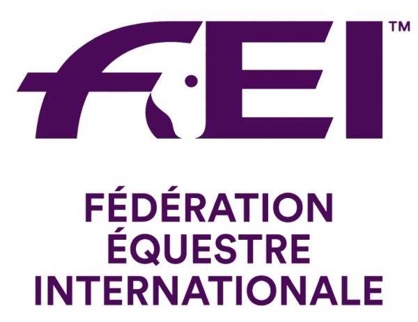FEI_Logo_600_500