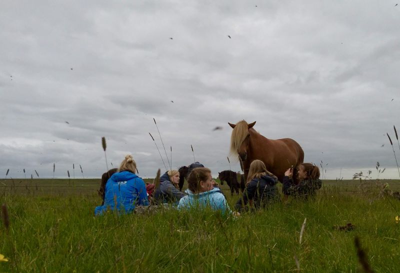 Youth Camp Iceland GMS