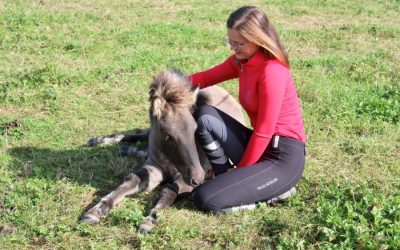 Lena-Marie Baltes – young committee member education