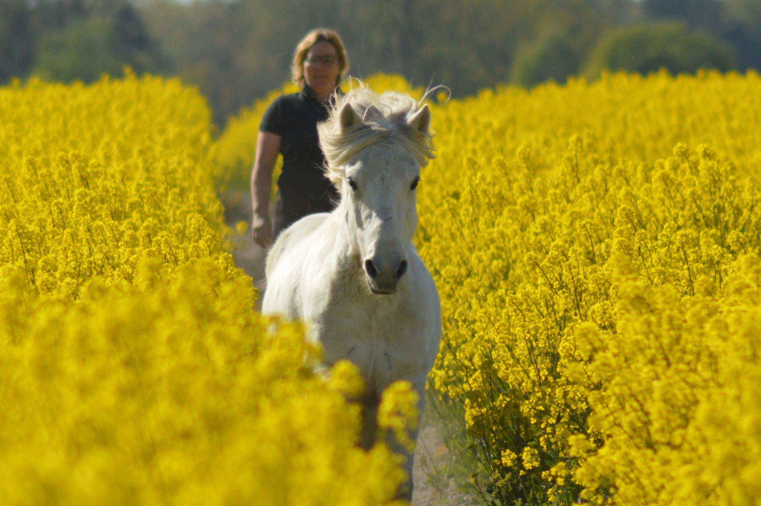 241. Katja Semrau (1)