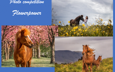 Photo Competition – FLOWERPOWER voting ended