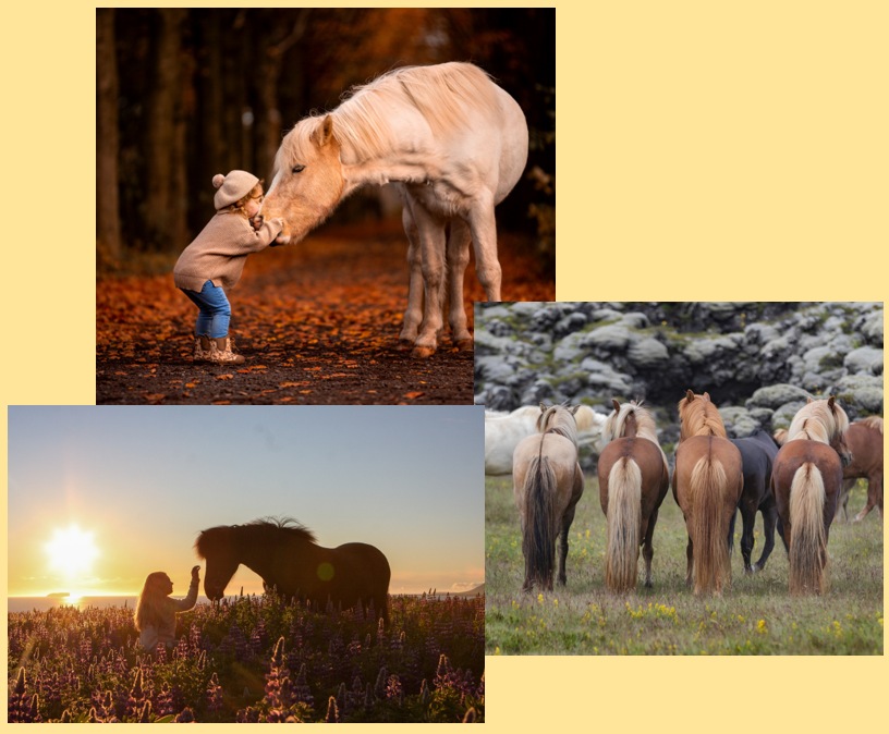 friendship_photocompetition