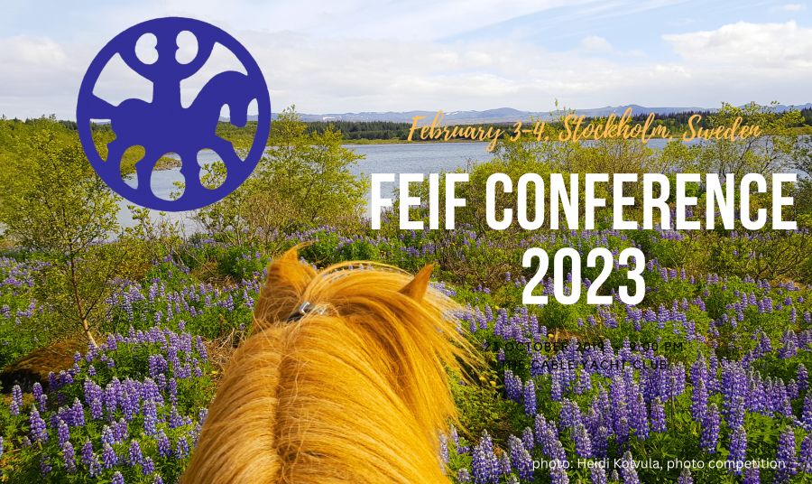 FEIF Conference 2023 – main topics