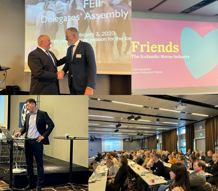 FEIF Conference 2023