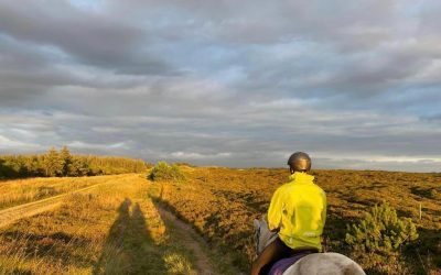 To Fákur, and fast!