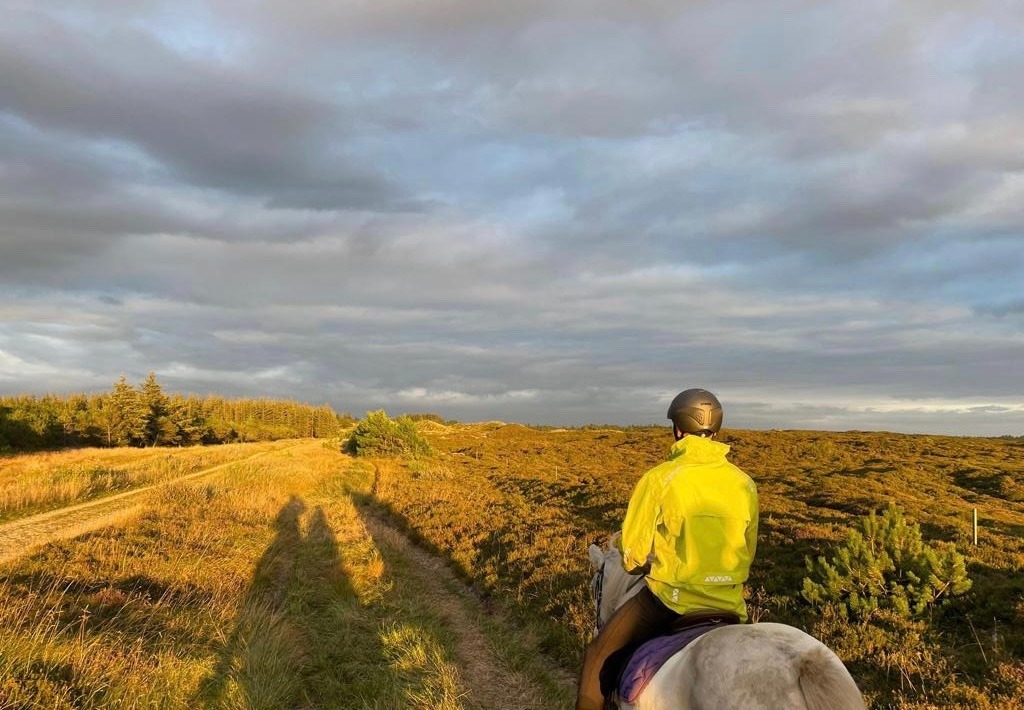 6f070293-d873-494b-af25-1983eeb75e6e