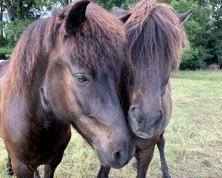 49. Claudia Thumm (1)