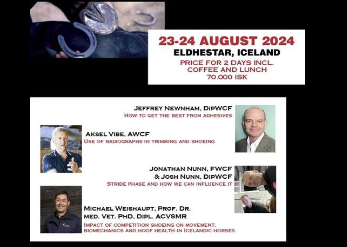 Screenshot 2024-06-12 140700