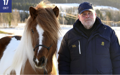 Harmony before performance