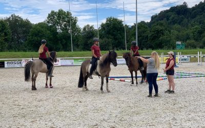 Sunday – FEIF YouthCup 2024