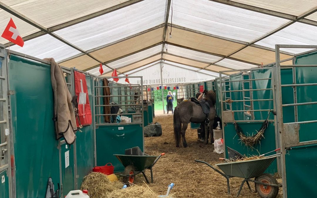 Monday – FEIF YouthCup 2024