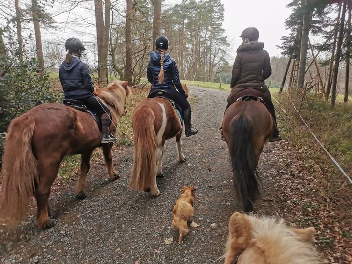 FEIF Virtual Ride: To Fákur and Fast